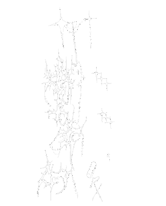 bg3
